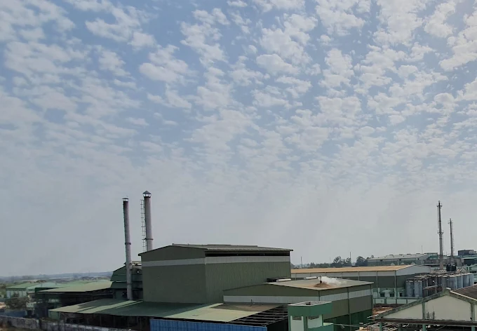Indagro Foods Pvt Ltd